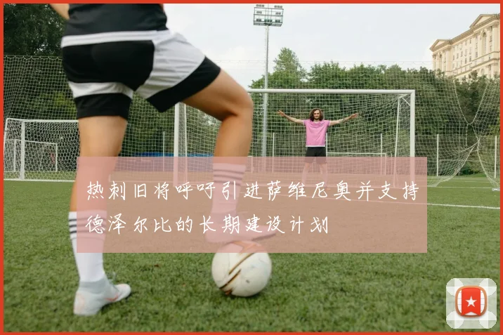 热刺旧将呼吁引进萨维尼奥并支持德泽尔比的长期建设计划